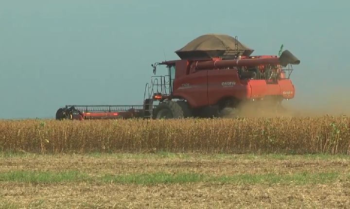 BALSAS SEGUE COMO UM DOS PRINCIPAIS POLOS DO AGRONEGÓCIO NO SUL DO MARANHÃO
