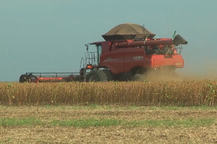 BALSAS SEGUE COMO UM DOS PRINCIPAIS POLOS DO AGRONEGÓCIO NO SUL DO MARANHÃO
