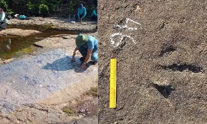 Chapada das Mesas tem sítio com 78 pegadas fossilizadas de dinossauros no Maranhão; entenda