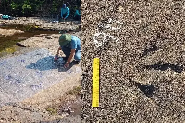 Chapada das Mesas tem sítio com 78 pegadas fossilizadas de dinossauros no Maranhão; entenda