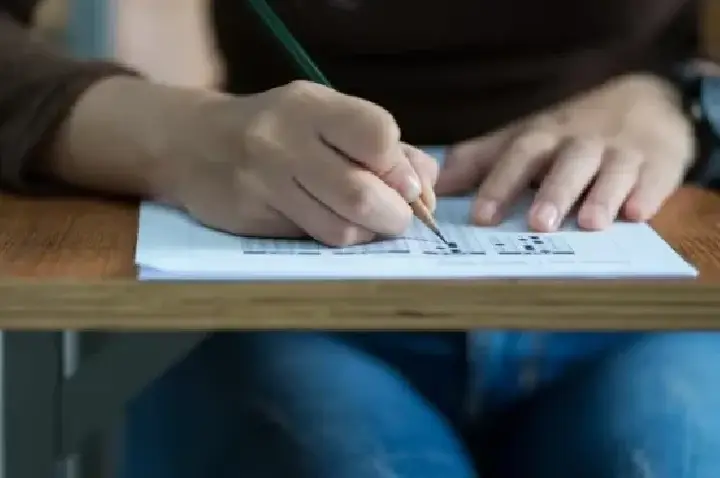 Concurso em São Francisco do Brejão abre vagas para professores com salário de R$ 6,8 mil