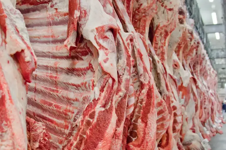 EXPORTAÇÕES DE CARNE BOVINA PARA A CHINA DESPENCAM E EUA ASSUMEM LIDERANÇA EM AGOSTO