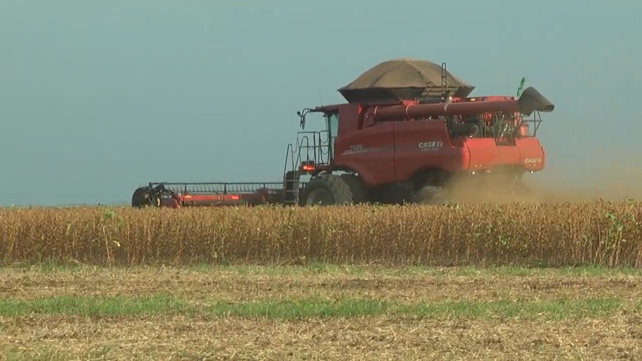 BALSAS SEGUE COMO UM DOS PRINCIPAIS POLOS DO AGRONEGÓCIO NO SUL DO MARANHÃO