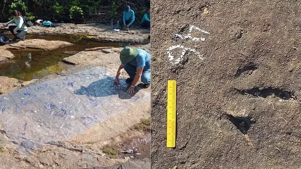 Chapada das Mesas tem sítio com 78 pegadas fossilizadas de dinossauros no Maranhão; entenda